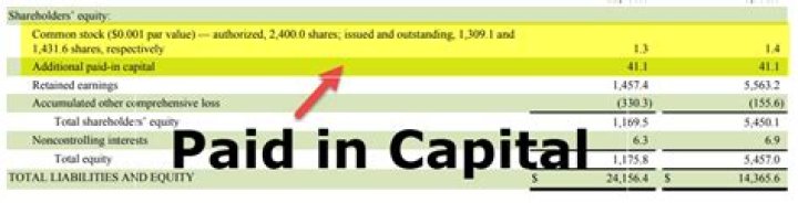 Is paid in capital a credit balance?