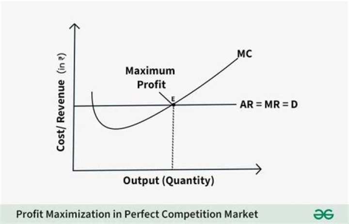 Is profit maximisation always the most important objective of firms?