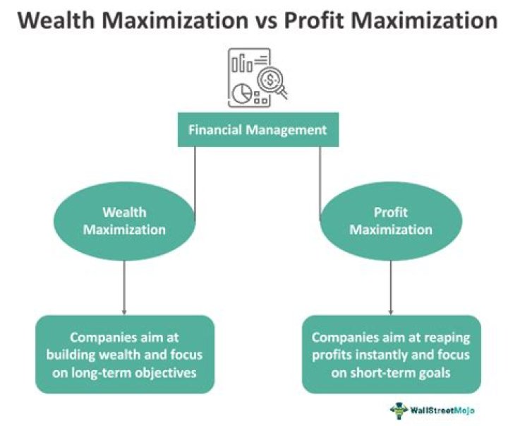 Is profit maximization good for society?