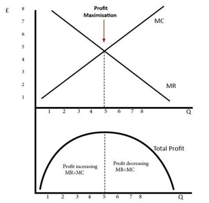 Is profit maximized when total revenue equals total cost?