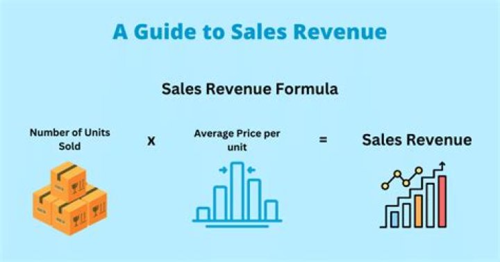 Is sales revenue the same as sales?