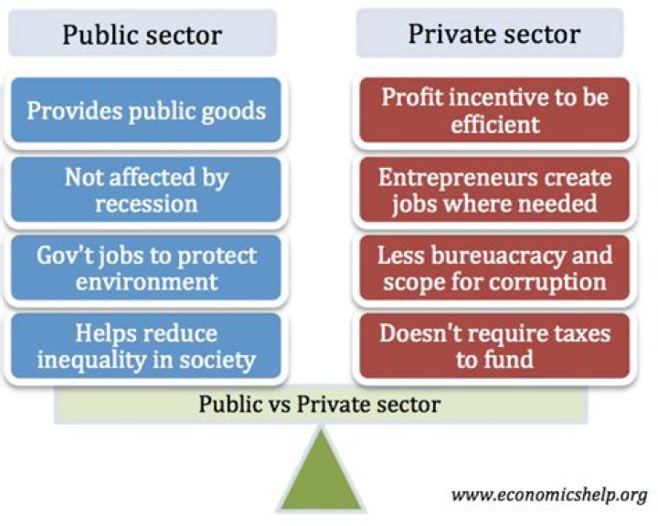 Is the public sector not for profit?
