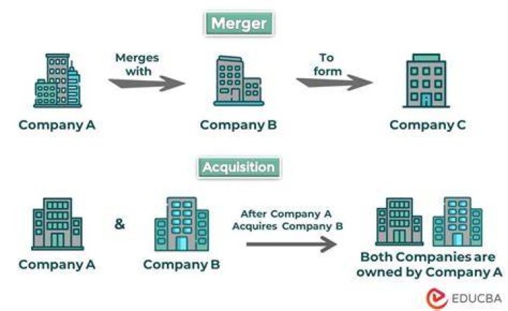 What advantages are gained through business mergers quizlet?