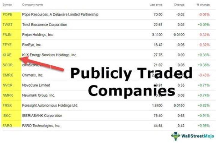 What are 2 publicly traded companies?