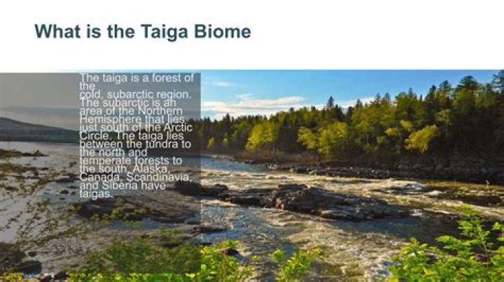 What are 3 characteristics discussed about the taiga biome?