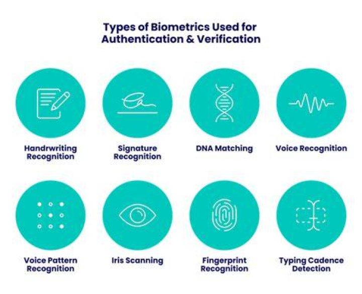 What are 4 examples of biometrics currently being used?