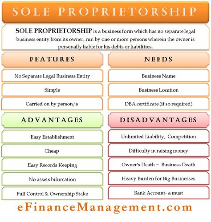 What are advantages and disadvantages of sole proprietorship?