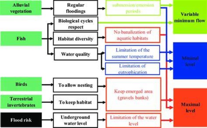 What are environmental constraints?