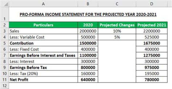 What are examples of pro forma financial statements?