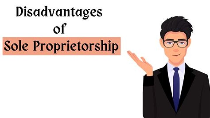 What are four disadvantages of owning a sole proprietorship?