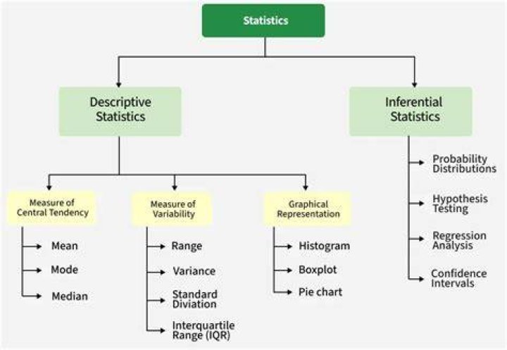 What are importance of statistics?