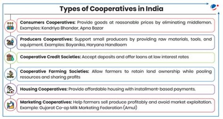 What are local business examples of cooperatives?
