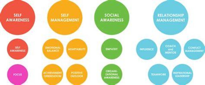What are management competencies?