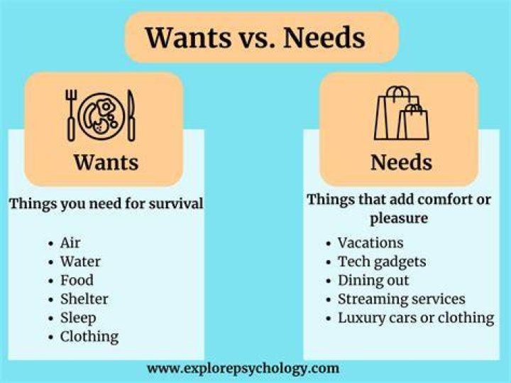 What are needs and wants?