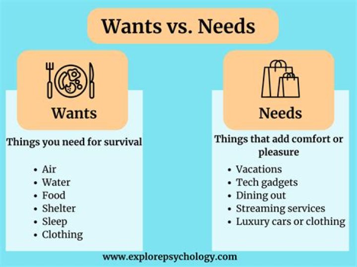 What are objects that satisfy wants and needs?