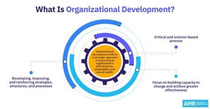What are organizational development practitioners?