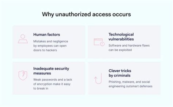 What are safeguards against unauthorized access and use?