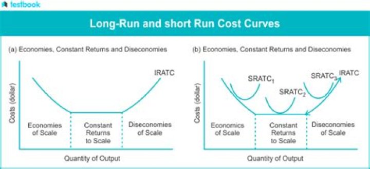 What are short-run cost curves?