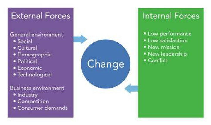What are some causes of organizational change?