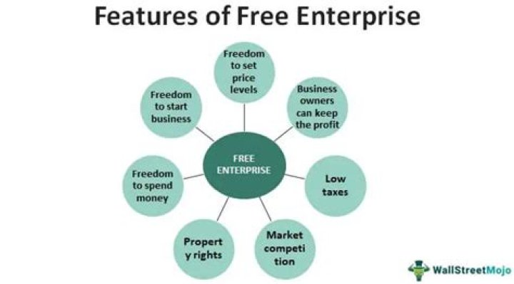 What are some cons of the free enterprise system?