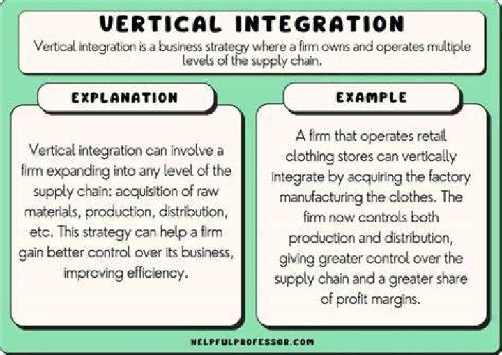 What are some pros and cons of vertical integration?