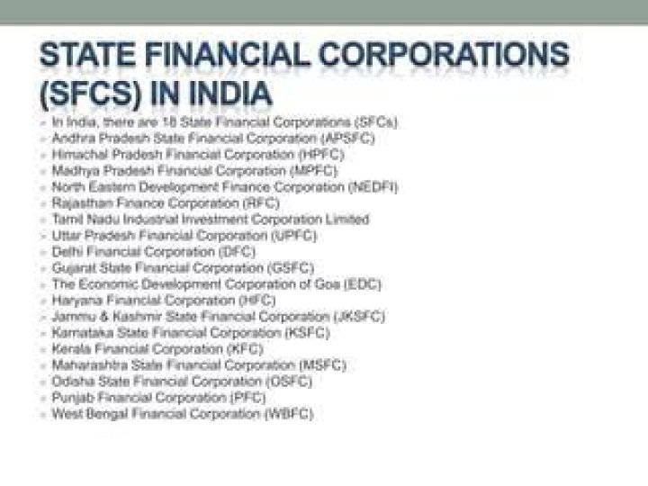 What are state financial corporations?