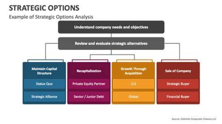 What are strategic options examples?