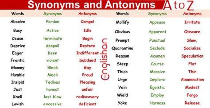 What are synonyms for follow?