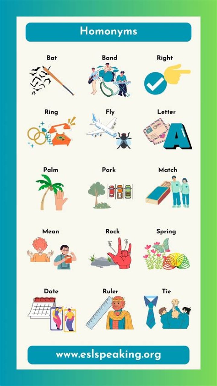 What are the 3 homonyms?