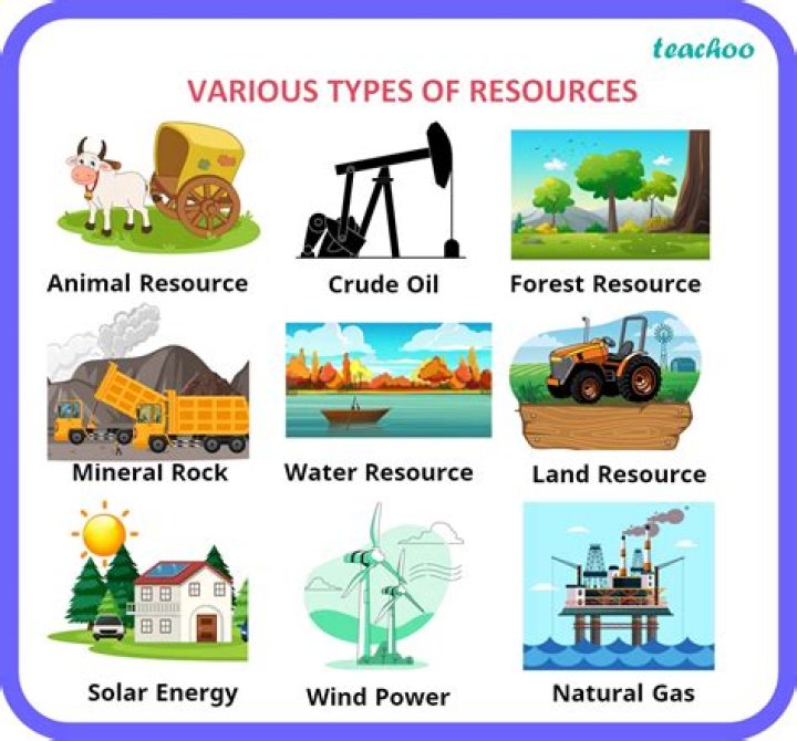 What are the 4 basic resources?