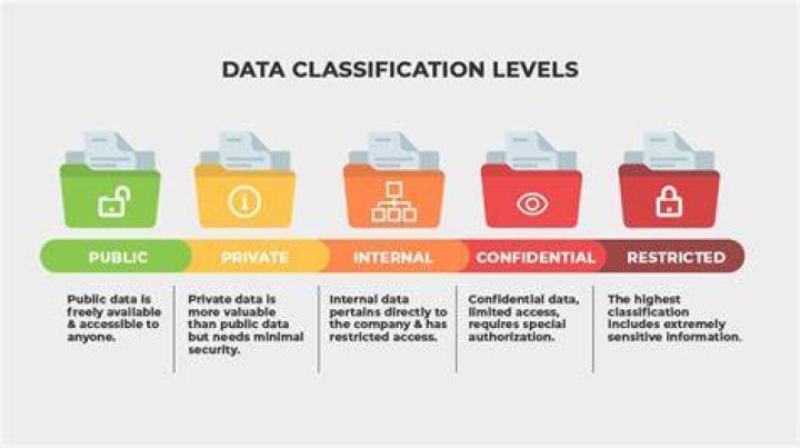What are the 4 classification of stock?