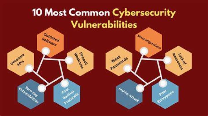 What are the 4 main types of vulnerability discuss?