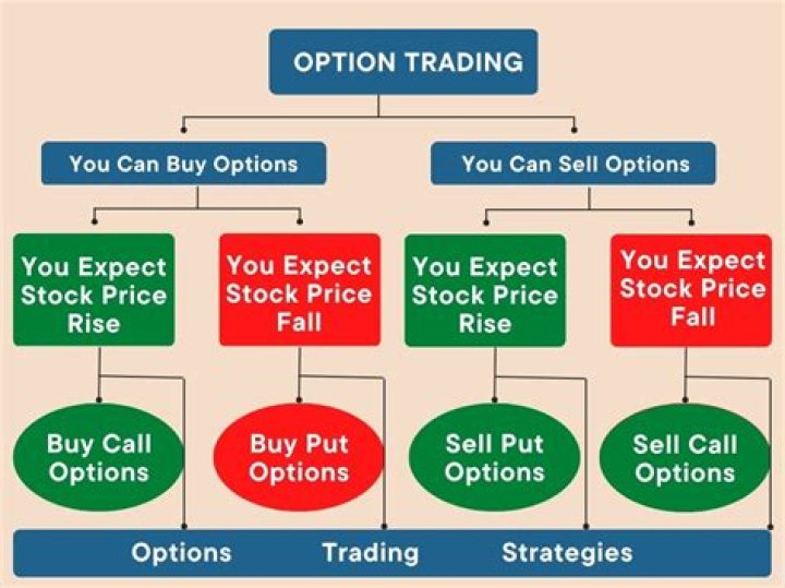What are the 4 options you have when a customer brings a product back?