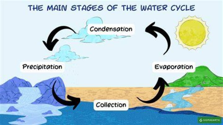 What are the 4 steps of the water cycle?