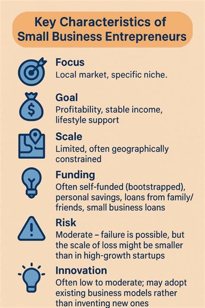 What are the 4 types of businesses entrepreneurs start?