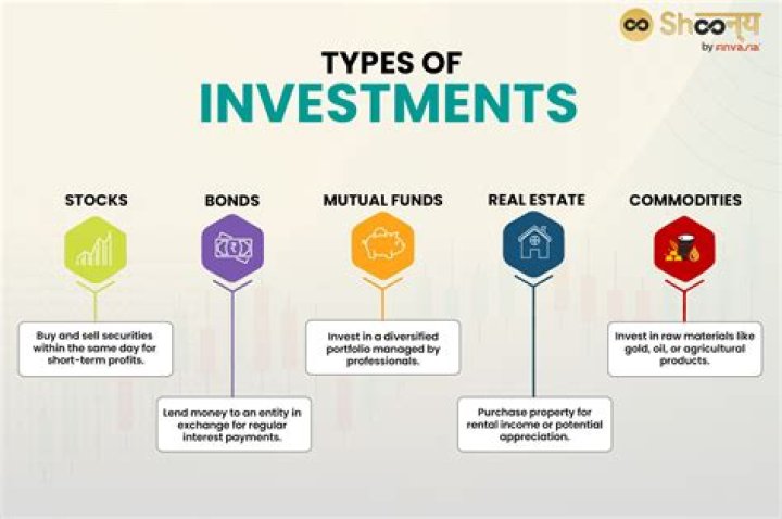 What are the 4 types of investors?