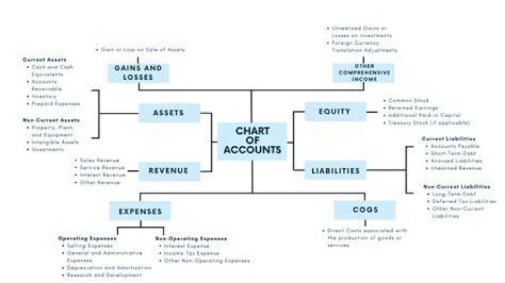 What are the 5 basic types of accounts?