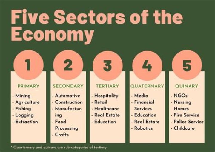 What are the 5 business sectors?