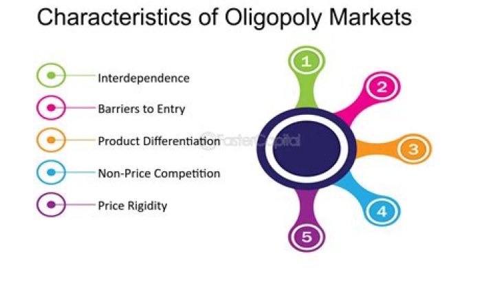 What are the 5 characteristics of an oligopoly?