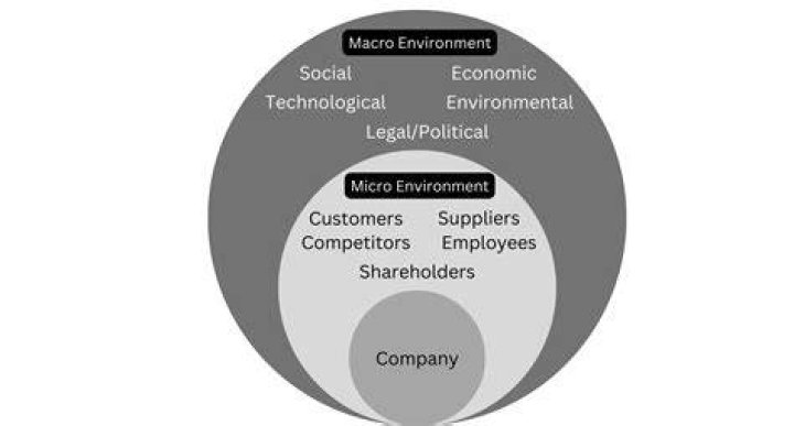 What are the 5 components of macro environment?