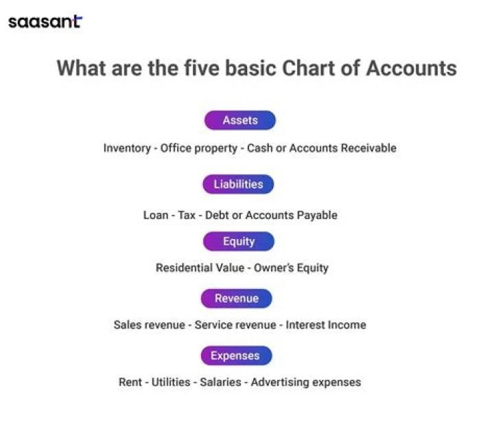 What are the 5 divisions of the chart of accounts?