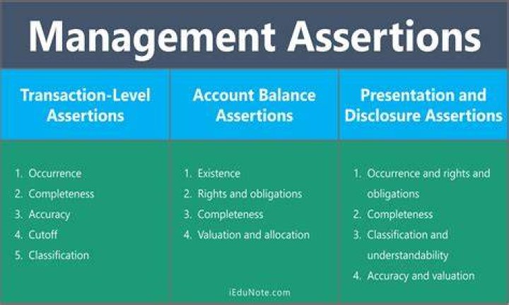 What are the 5 management assertions?