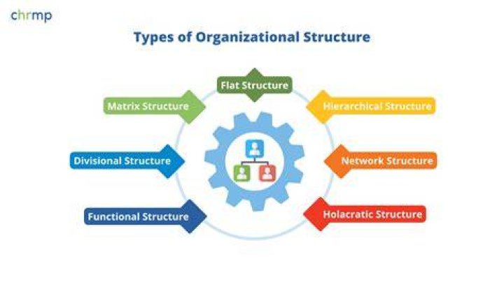 What are the 7 types of organizational structures?