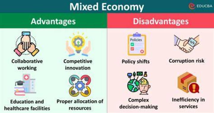 What are the advantages and disadvantages of private sector?