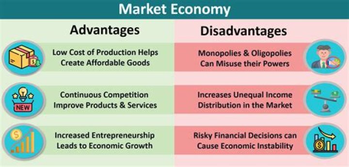 What are the advantages and disadvantages of sources of capital?