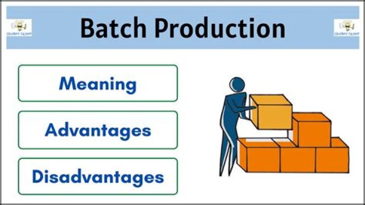 What are the advantages and disadvantages of the batch processing over the continuous operation?