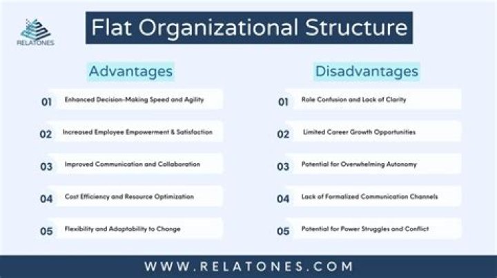 What are the advantages of business Organisation?