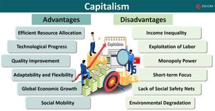 What are the advantages of capitalist system?