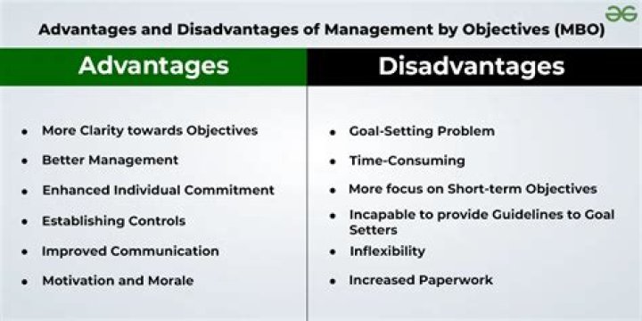 What are the advantages of management development program?
