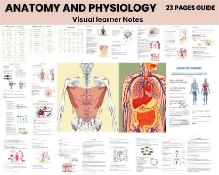 What are the advantages of studying anatomy and physiology?
